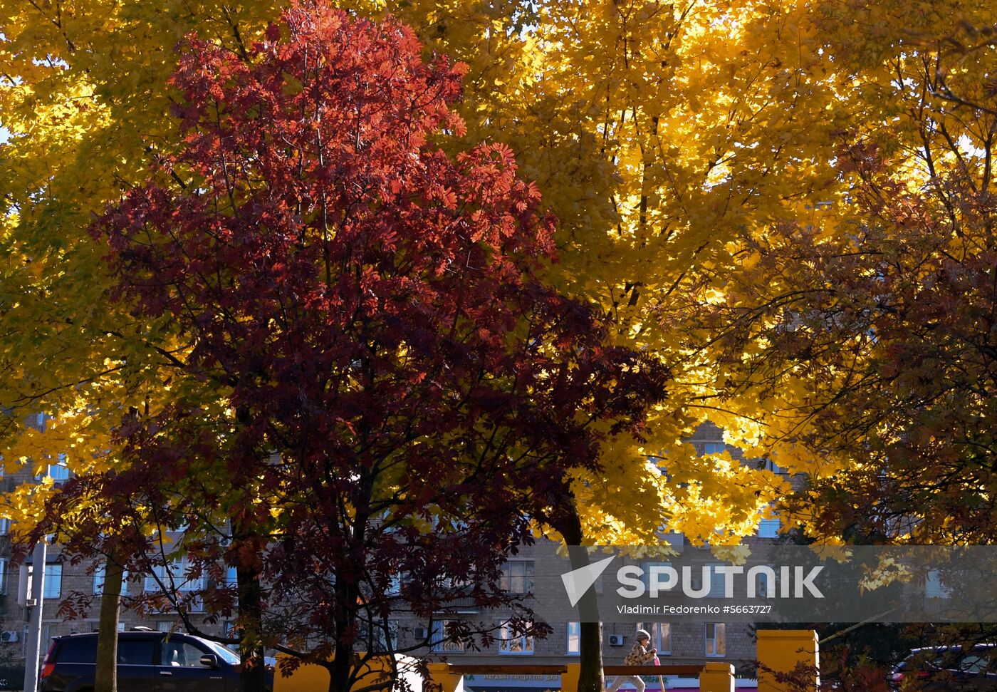 Russia Autumn