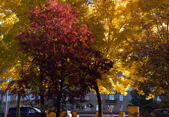 Russia Autumn