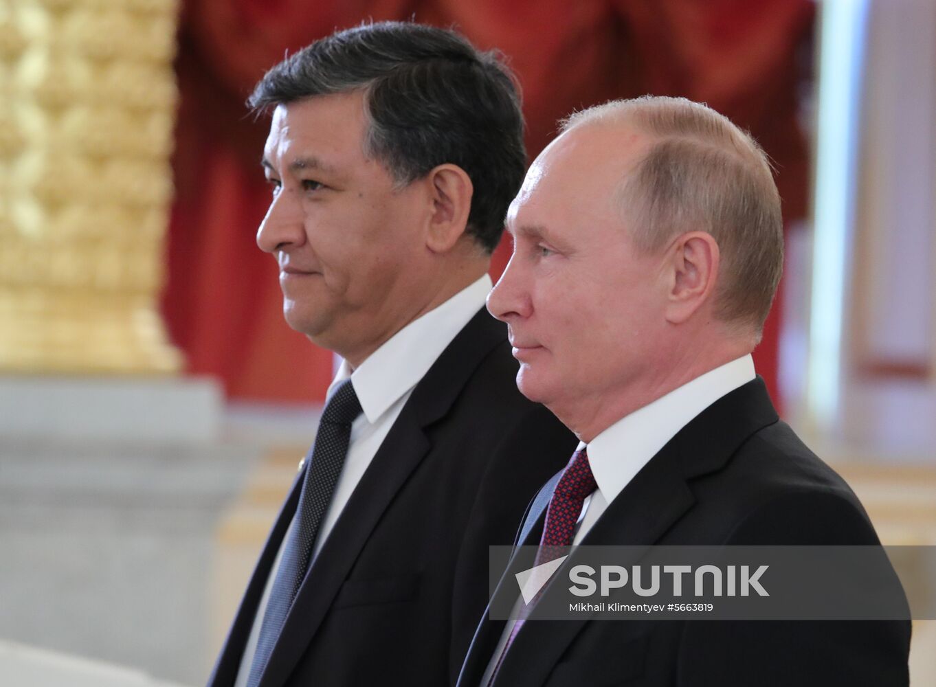 President Putin receives foreign ambassadors' credentials
