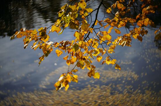 Russia Autumn