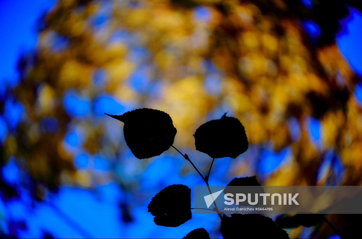 Russia Autumn