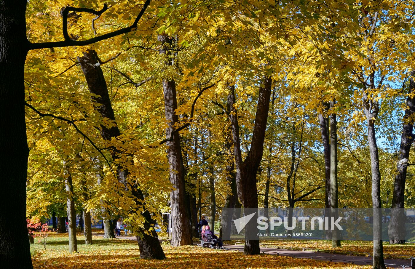 Russia Autumn