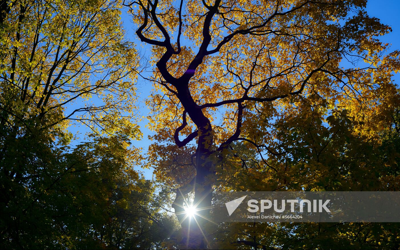 Russia Autumn