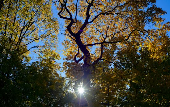 Russia Autumn