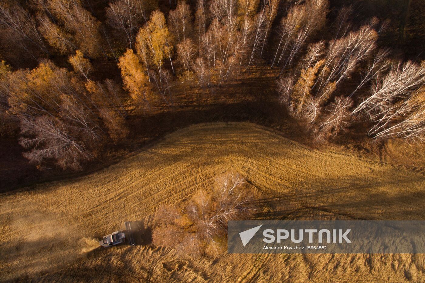 Russia Wheat Harvest