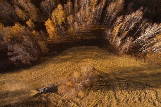Russia Wheat Harvest