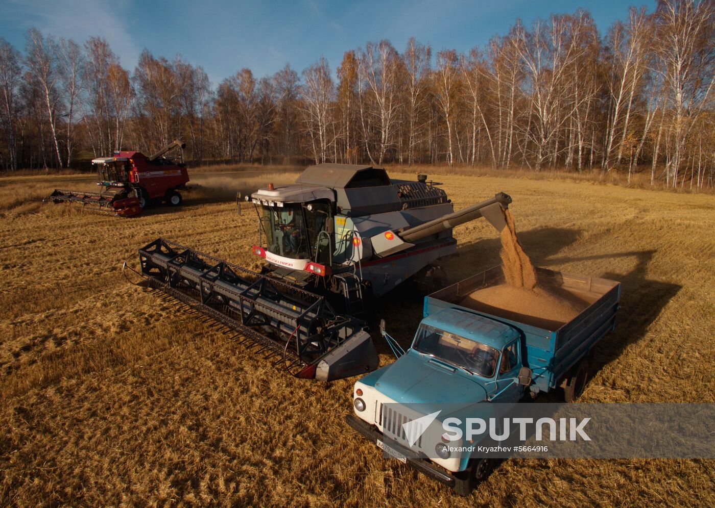 Russia Wheat Harvest