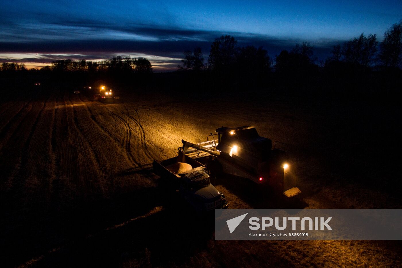 Russia Wheat Harvest