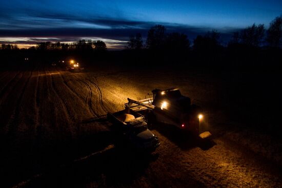 Russia Wheat Harvest
