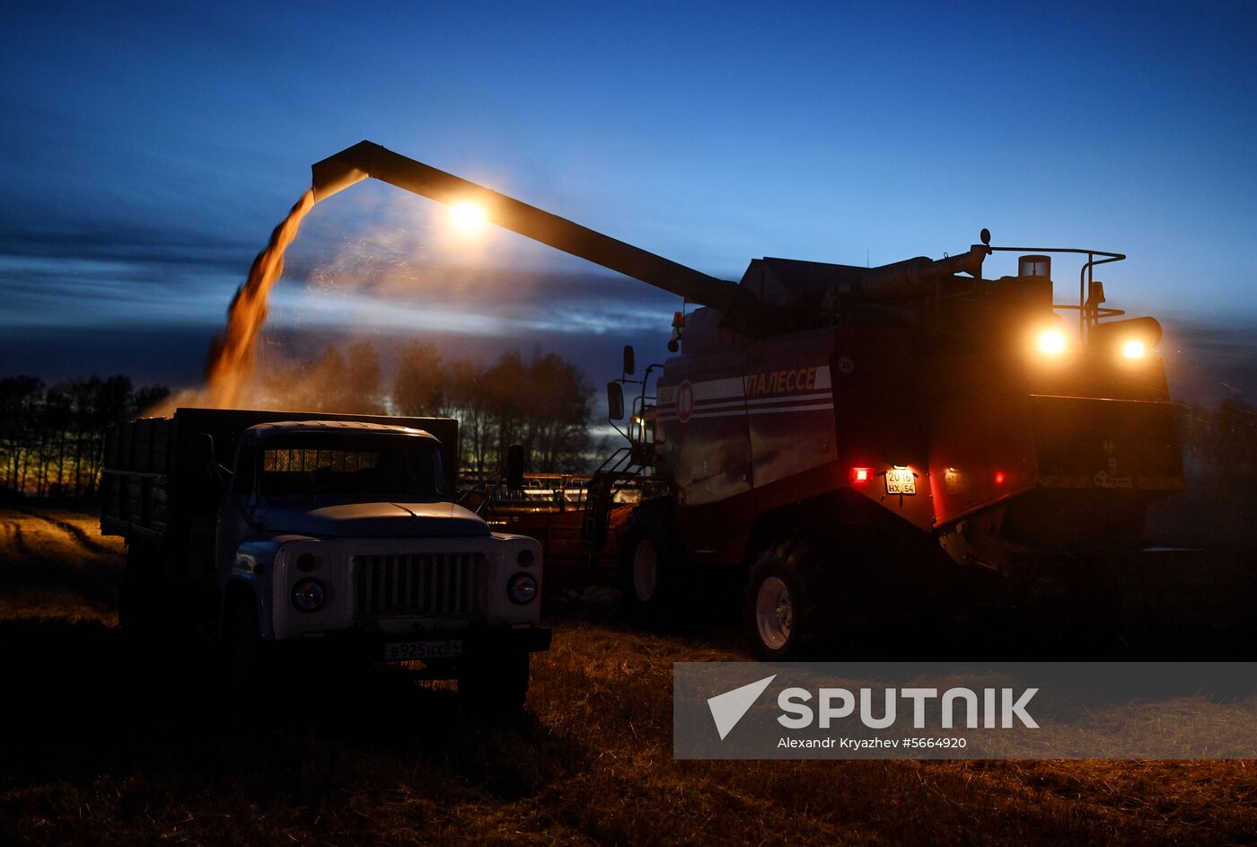 Russia Wheat Harvest