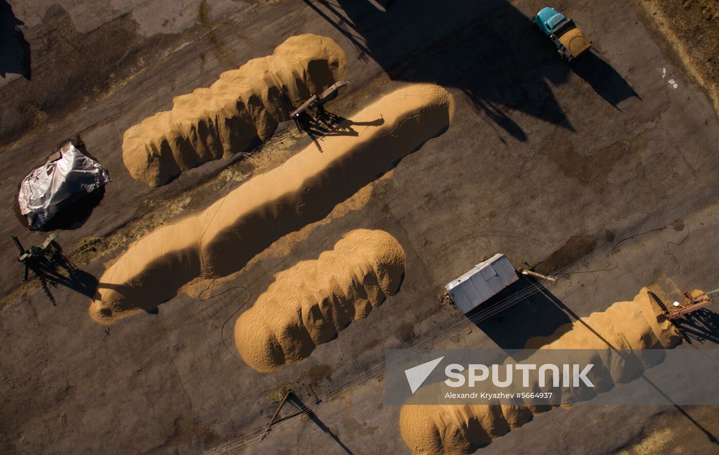 Russia Wheat Harvest