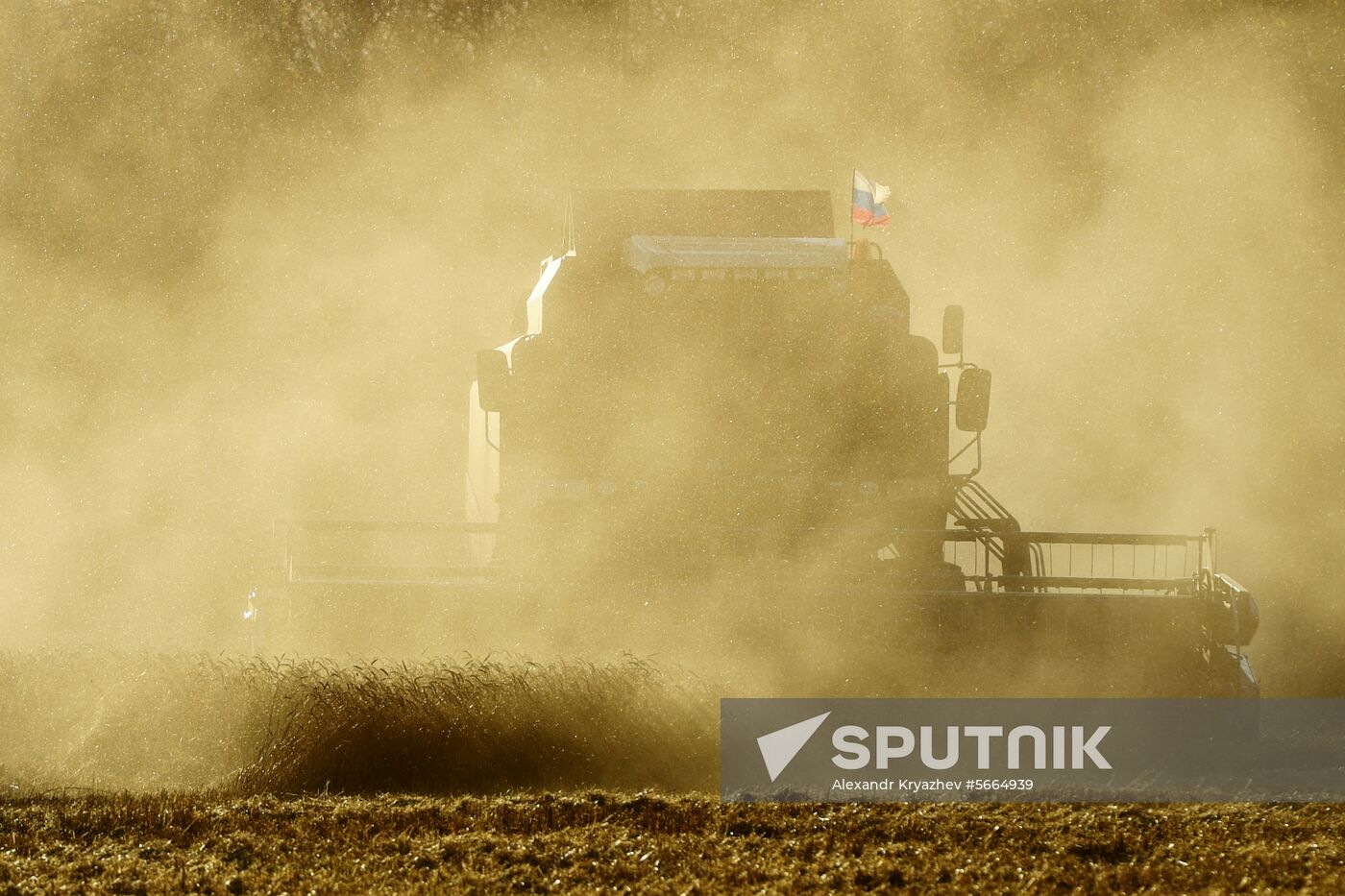 Russia Wheat Harvest