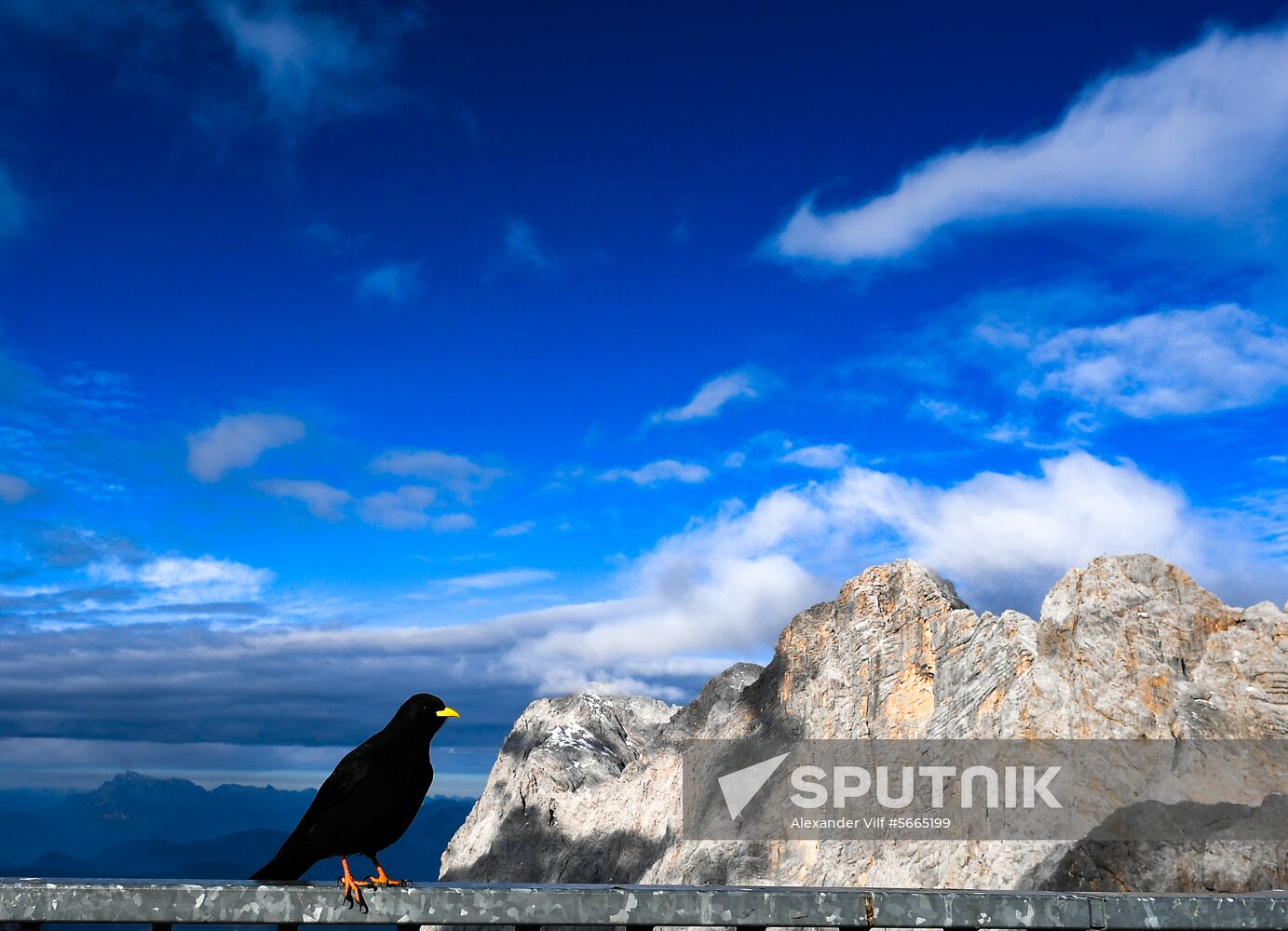 Biathlon. National team training camp