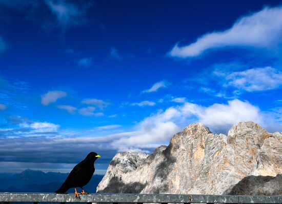 Biathlon. National team training camp