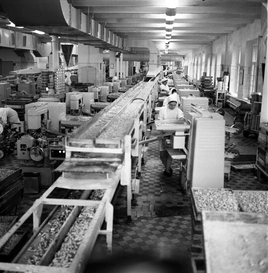 Krasny Oktyabr confectionery factory