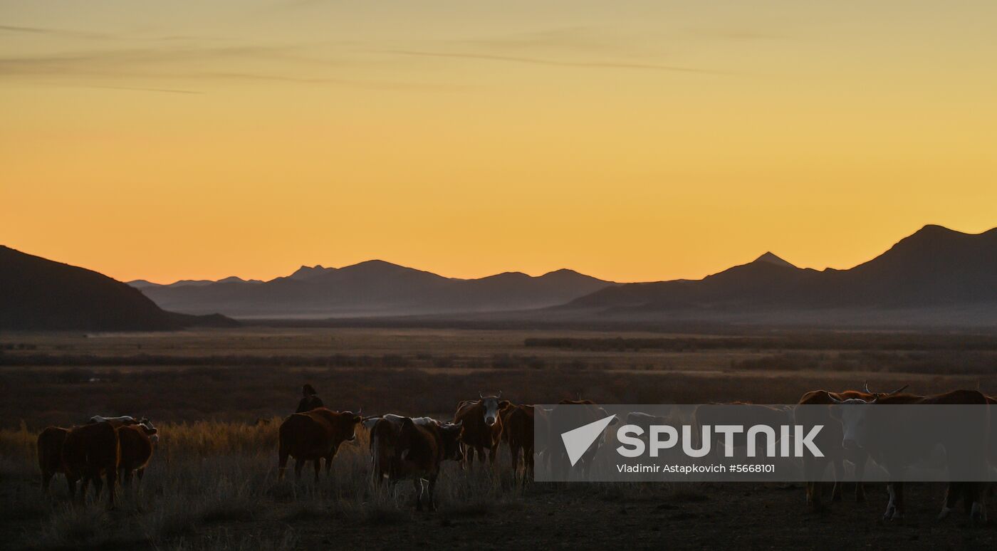 Mongolia Daily Life