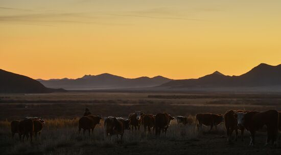 Mongolia Daily Life