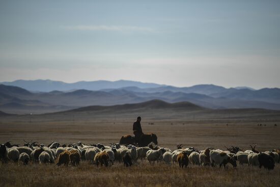 Mongolia Daily Life