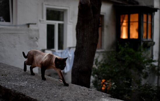 Russia Crimea Daily Life