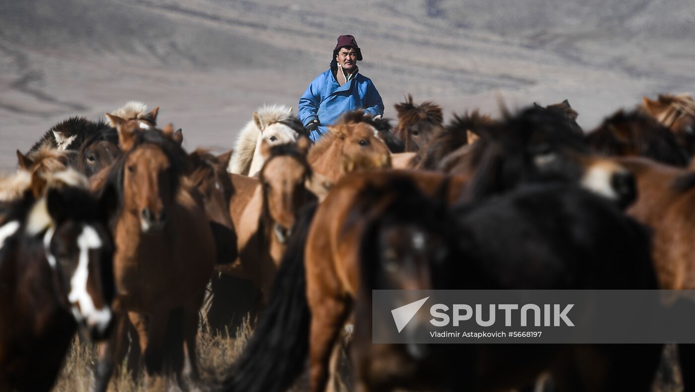 Mongolia Daily Life