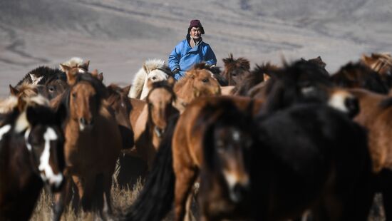 Mongolia Daily Life