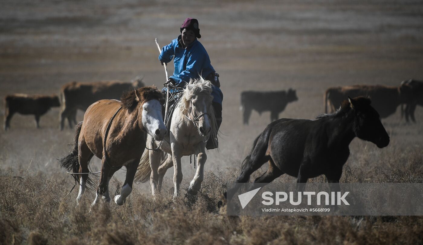 Mongolia Daily Life