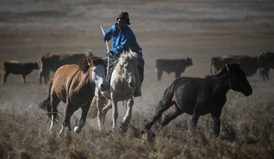 Mongolia Daily Life