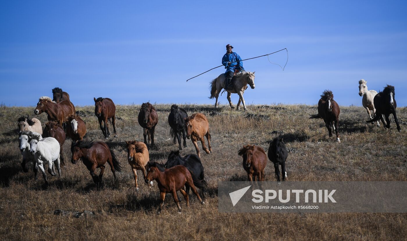 Mongolia Daily Life