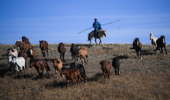 Mongolia Daily Life