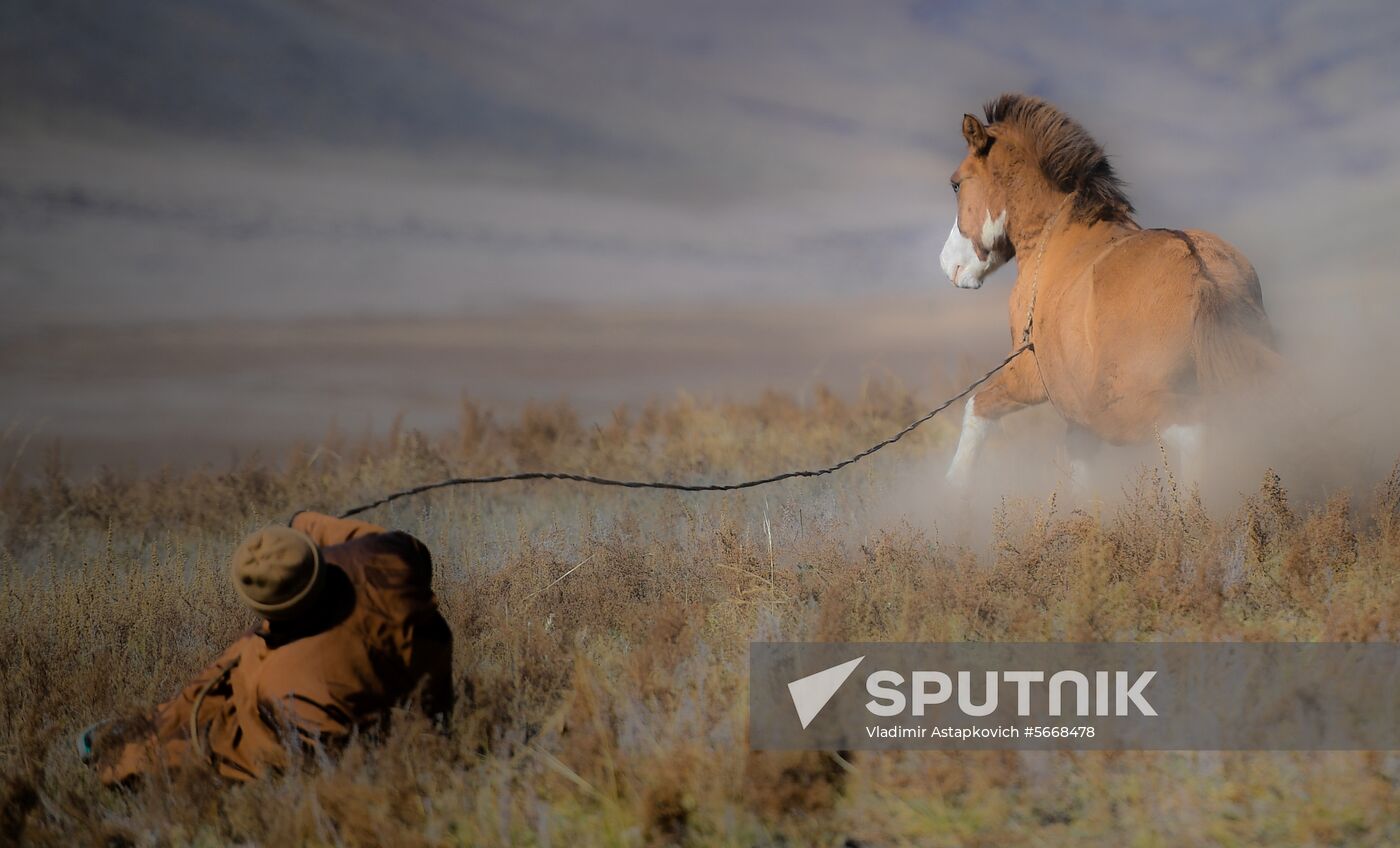 Mongolia Daily Life