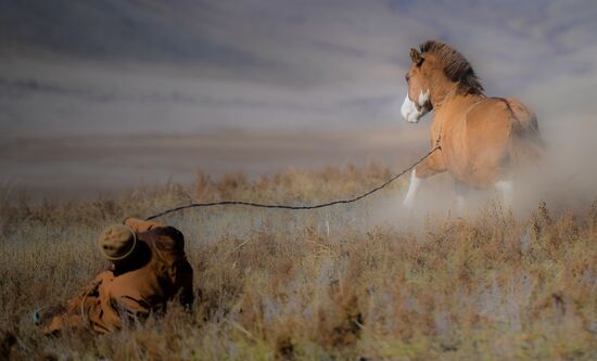 Mongolia Daily Life