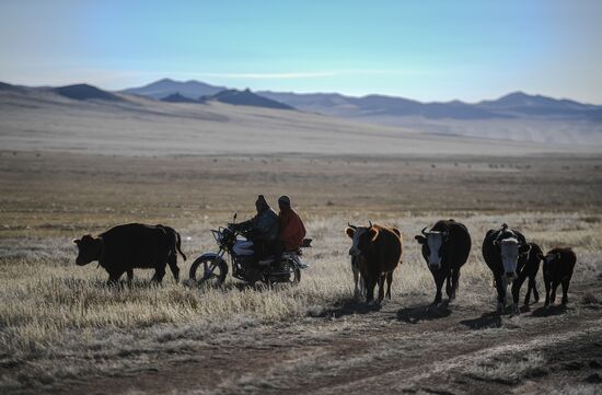 Mongolia Daily Life