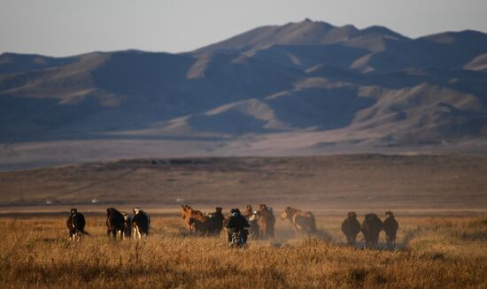 Mongolia Daily Life