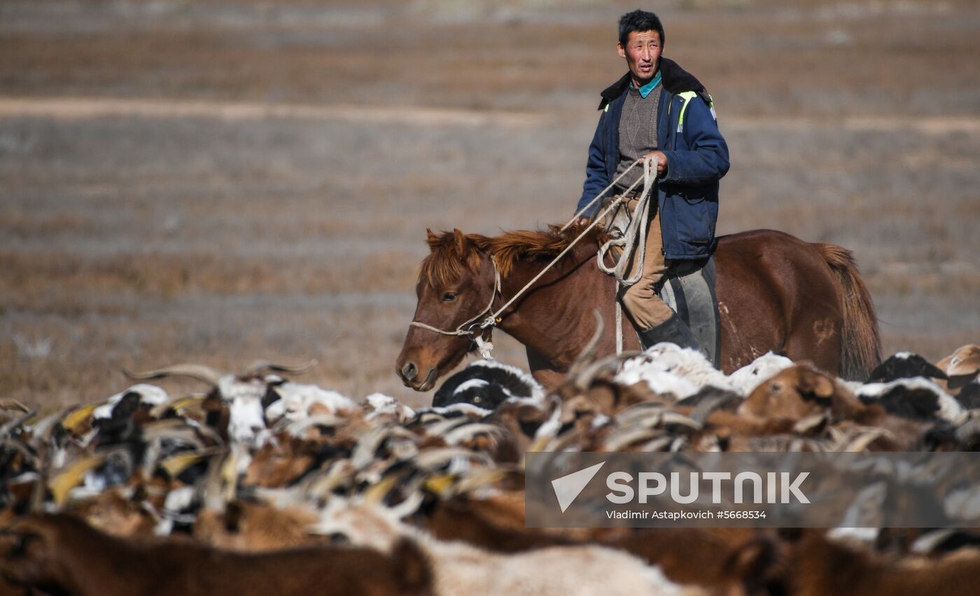 Mongolia Daily Life