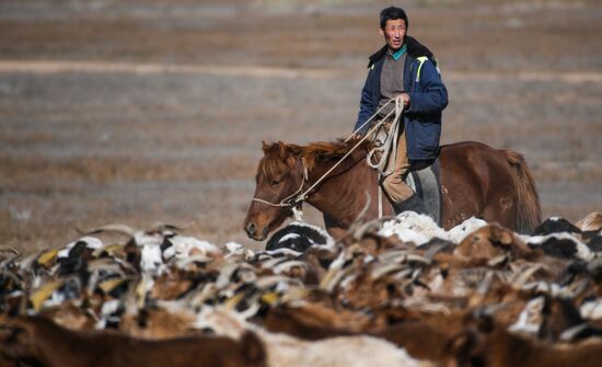 Mongolia Daily Life