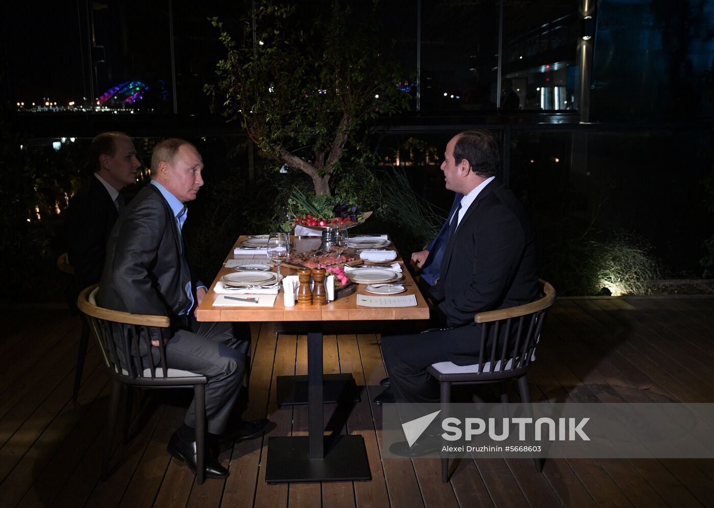 President Vladimir Putin meets with Egyptian President Abdel Fattah el-Sisi