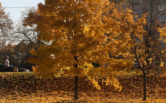 Russia Autumn