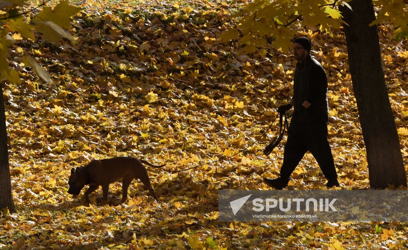 Russia Autumn