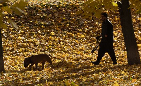 Russia Autumn