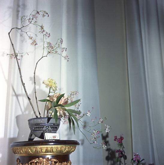 Ikebana