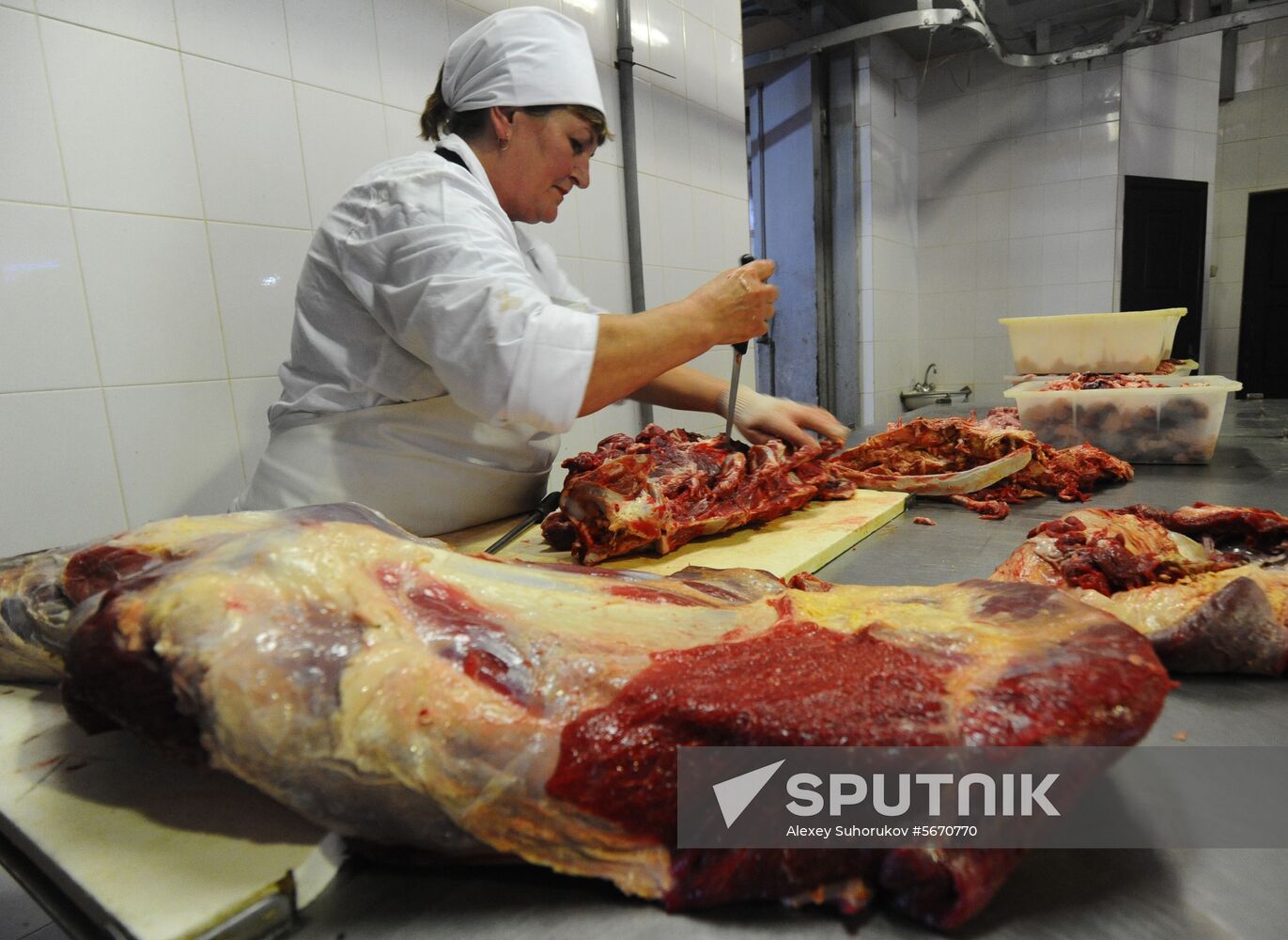 Russia Food Production