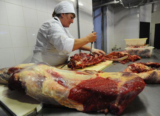 Russia Food Production