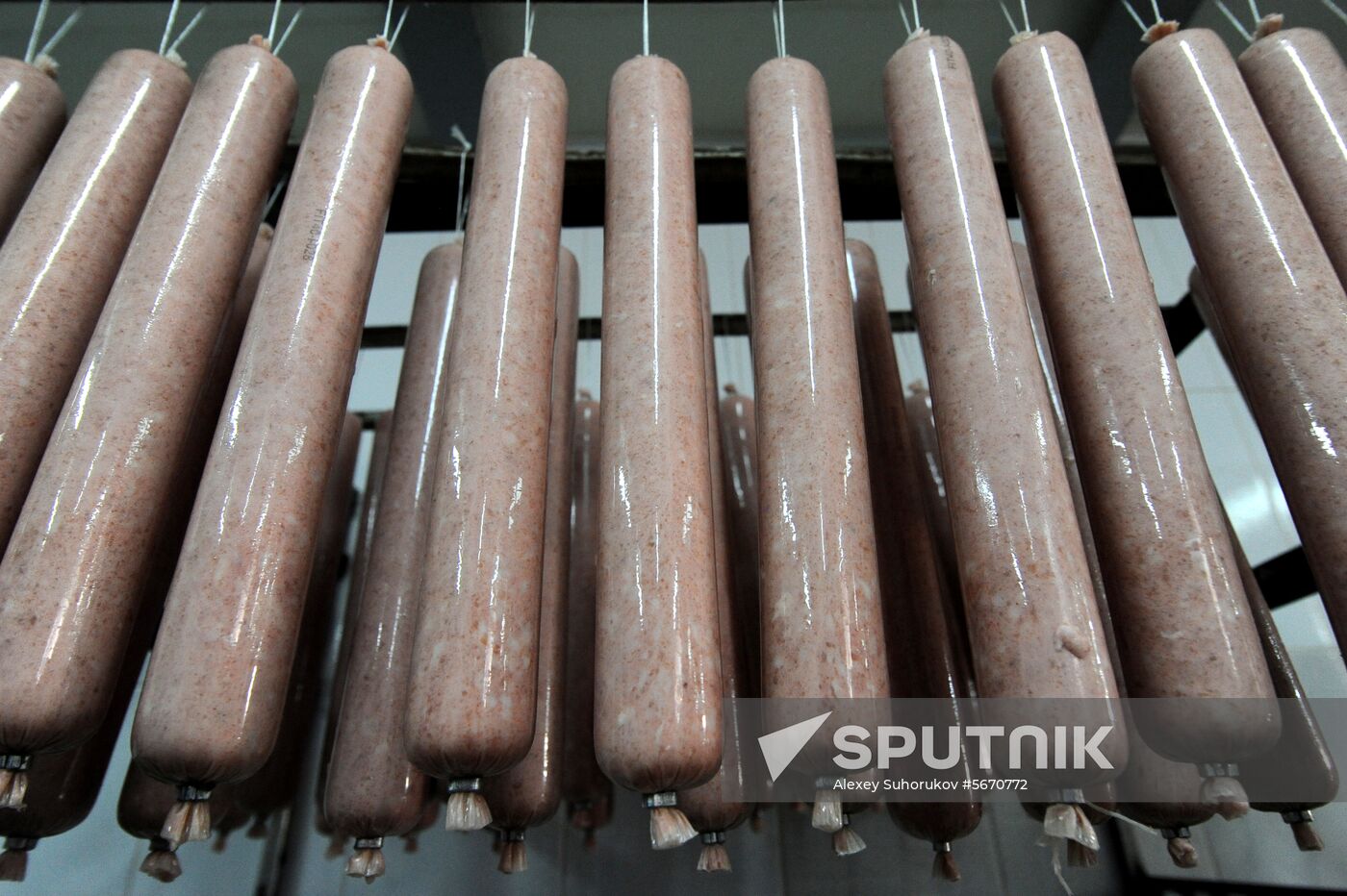 Russia Food Production