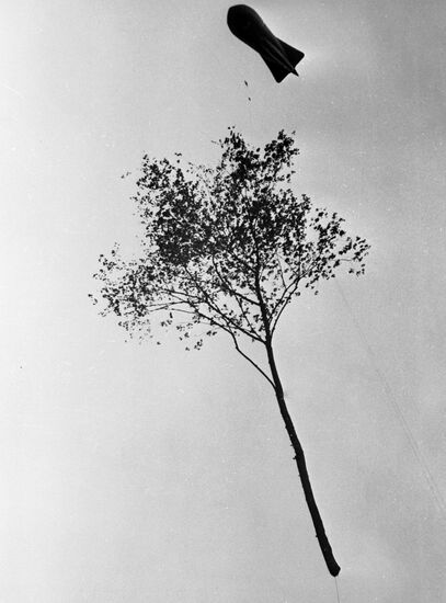 Timber carrying balloon