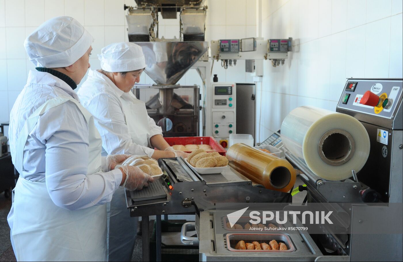Russia Food Production