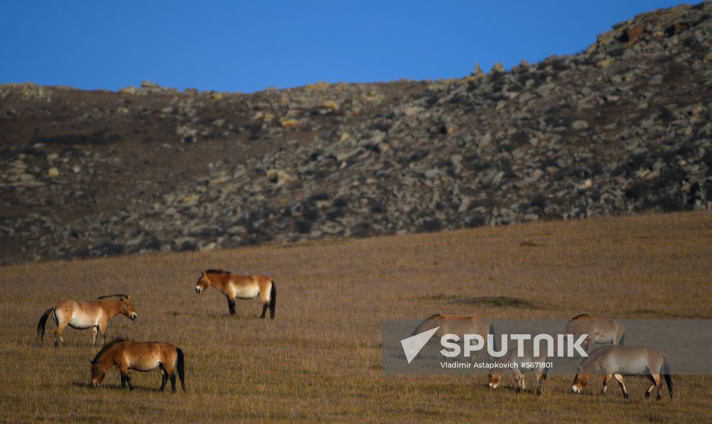 Mongolia Daily Life