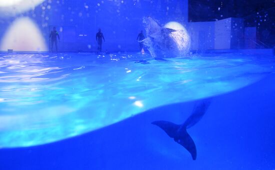 Russia Aquarium