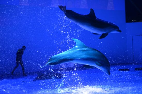 Russia Aquarium