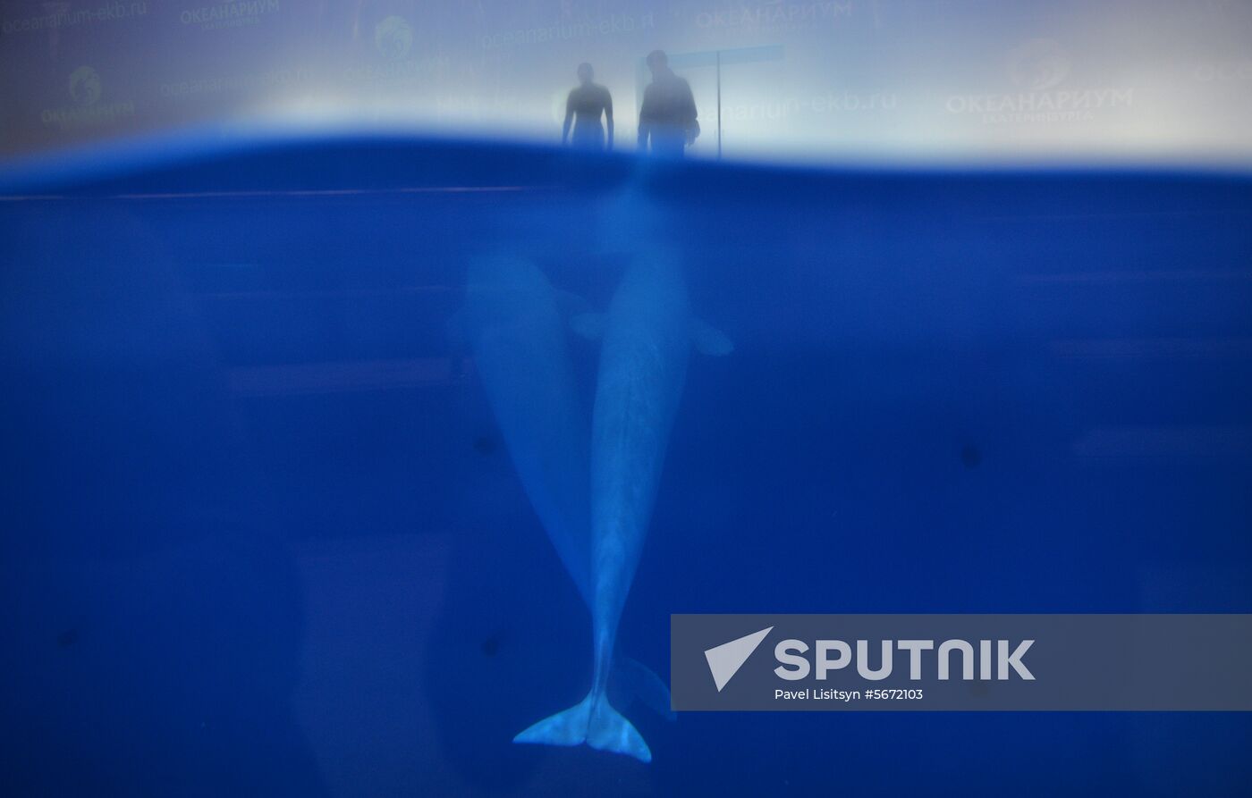 Russia Aquarium