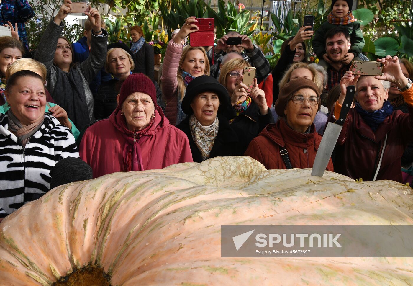 Russia Giant Pumpkin